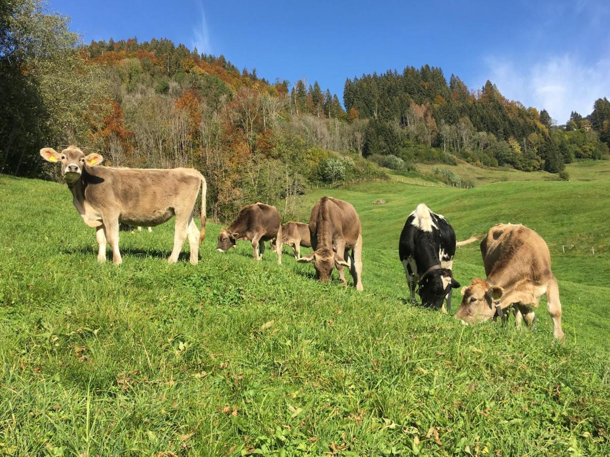 Au (Vorarlberg) Schmiedlarhof 아파트 외부 사진